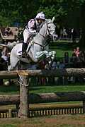Badminton horse trials open ditch jump