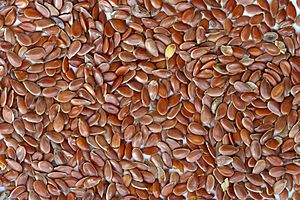 Archivo:Brown Flax Seeds