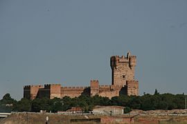Castillo de la Mota -01