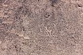 Cerros Pintados, Pampa del Tamarugal, Chile, 2016-02-11, DD 116