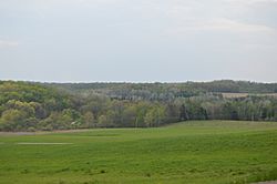 Cherry Valley open fields and woods.jpg