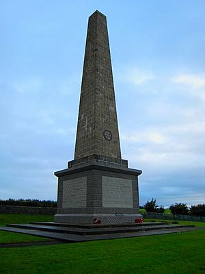 Archivo:County Antrim War Memorial (Knockagh Monument) - geograph.org.uk - 652849
