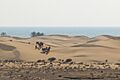 Darak Beach 1