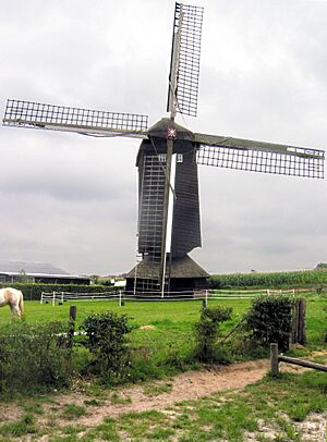 Archivo:Doesburgermolen