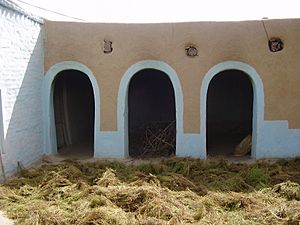 Archivo:Drying Crop in rural Punjabi home