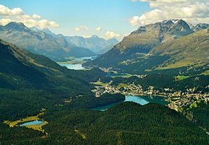 Archivo:Engadine