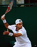 Archivo:Fernando Gonzalez at the 2011 Wimbledon Championships