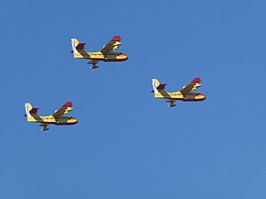 Archivo:Formación de hidroaviones de extinción de incendios. Madrid, España, Spain