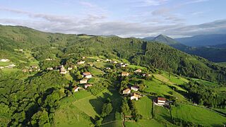 Gaztelu (Gipuzkoa) airetik.jpg