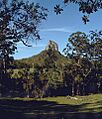 Glasshouse mountain