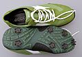 Golfschuhe 1 (fcm)