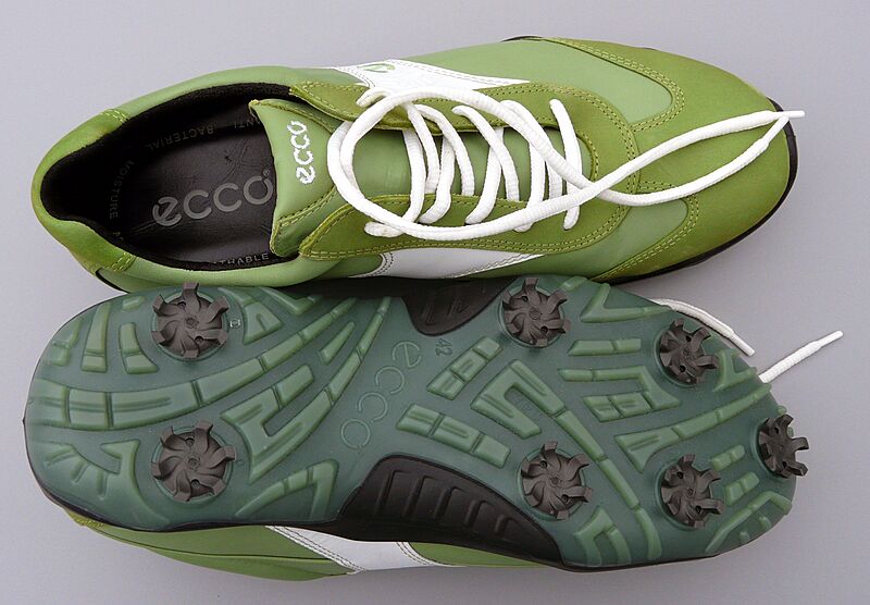 Golfschuhe 1 (fcm)