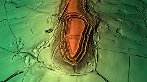 Archivo:Hembury Digital Terrain Model
