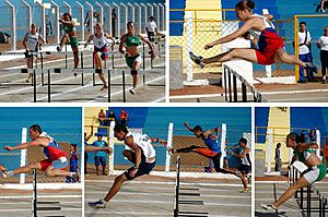 Archivo:Hurdling