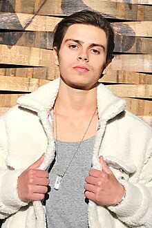 Jake T Austin, arrives at the CIROC tasting event in Los Angeles, Nov 2018 (cropped).jpg