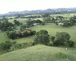 Las guabas de los santos.jpg
