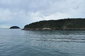 Archivo:Looking roughly south to Decatur Island, James Island in the distance 01 (20276408790)