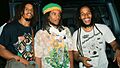 Marley Brothers... Stephen, Robbie, Ziggy