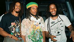 Marley Brothers... Stephen, Robbie, Ziggy.jpg