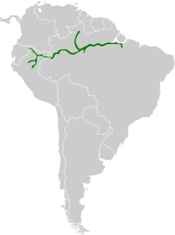 Distribución geográfica del hormiguero lúgubre.