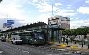 Archivo:OptibusLeonMX