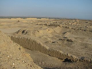 Pacatnamu walls.jpg