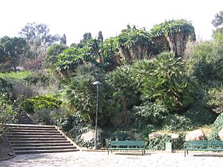 Parc del Putget.jpg