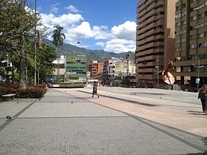 Archivo:Parque Murillo Toro 2