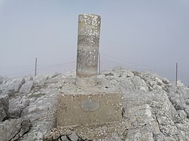 Pico pino cortes frontera cima enero2021.jpg