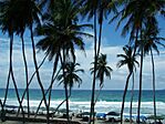 PlayaElAgua (Margarita-VEN).jpg