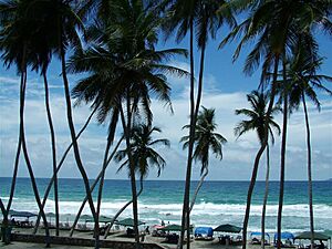 Archivo:PlayaElAgua (Margarita-VEN)