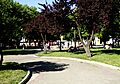 Plaza coronel