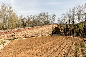 Archivo:Puente de Capurnos, Morata de Jalón, Zaragoza, España, 2018-04-05, DD 40