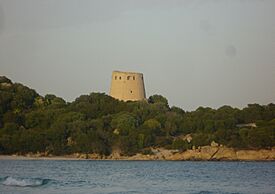 Torre di Cala Pira - Castiadas.jpg