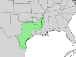 Distribución natural (población de Florida excluida).