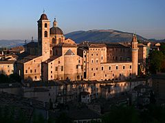 Urbino z02