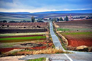 Vista de Encinas en Tierras de Sepulveda (16035527498).jpg