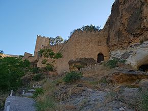 Archivo:Vista desde la muralla del Castilla de la Yedra