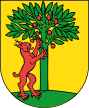 Wappen Risch Rotkreuz.svg