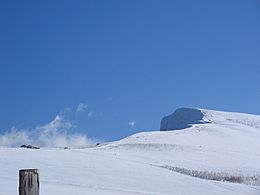 Archivo:Aloña mendia