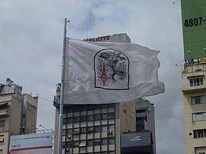 Archivo:Bandera de la Ciudad de Buenos Aires colgada al revés