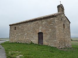 Barbatain 20-1218.jpg