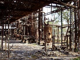 Archivo:Bhopal Plant 5