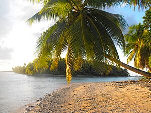 Archivo:Bikrin Islet 29