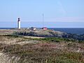 Cape race nfld
