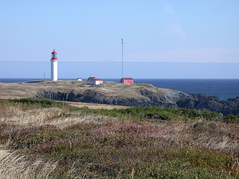 Cape race nfld