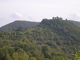 Castell de Rocabruna (Camprodon).JPG