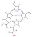 Chlorophyll c2
