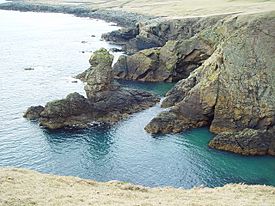 Clett Head, Whalsay, Shetland - geograph.org.uk - 145723.jpg