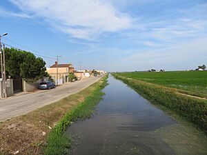 Archivo:Delta del Ebro,. Acequia del Riet. Els Muntells (Tarragona)